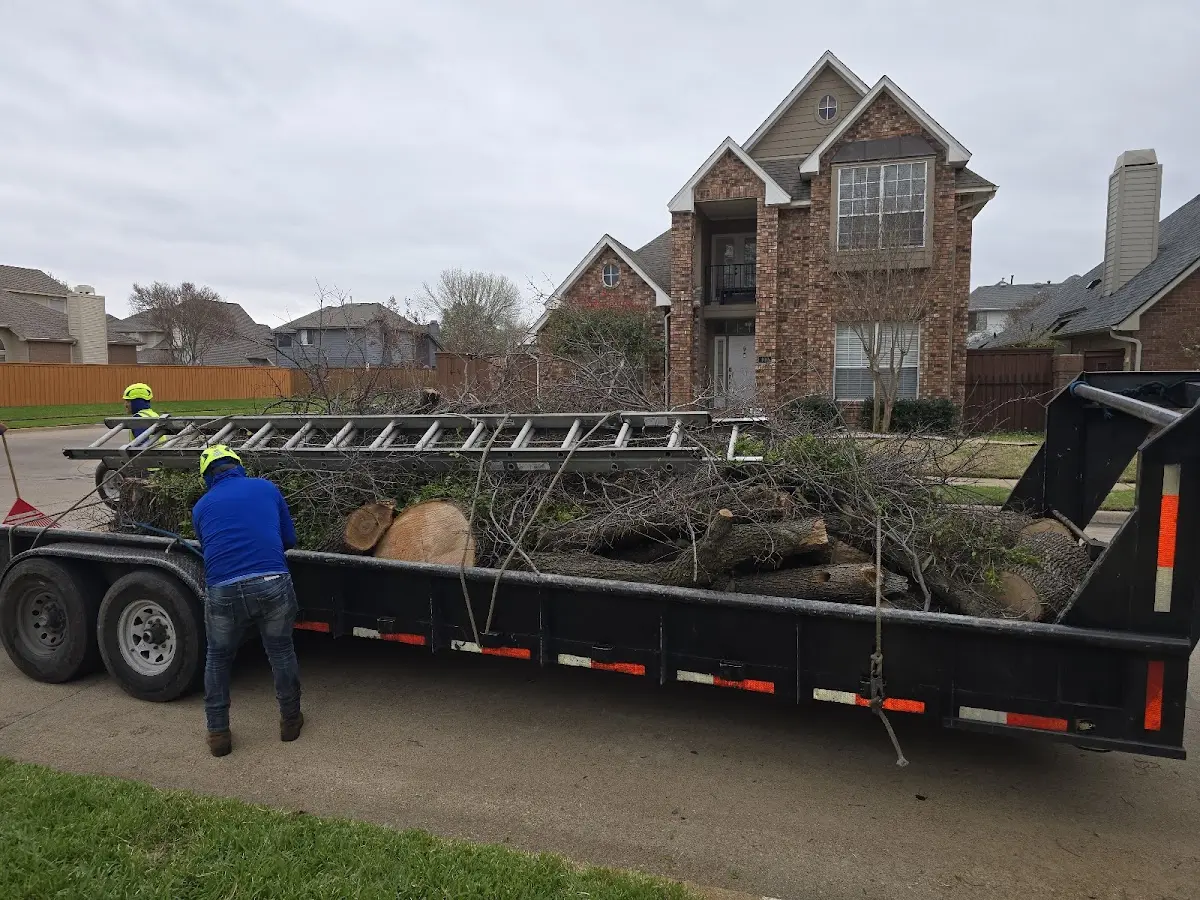 Expert Tree Pest Control with proper safety equipment in Hillsdale